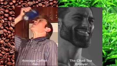 Coffee vs Tea