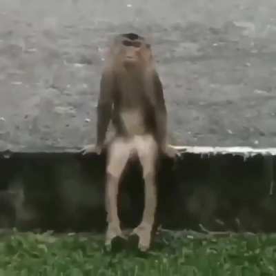 Orslok cuando lo banean en twitch