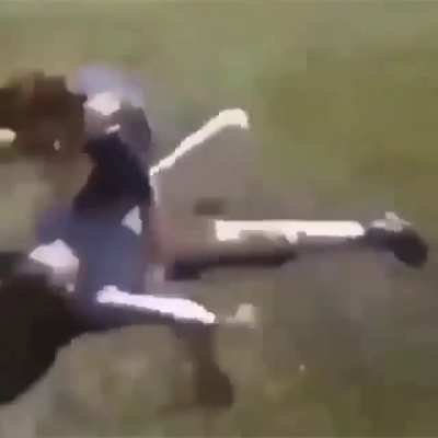 dis sh had me rollin on da floor crying what yall doin if a nigga do dis to u while u in a fight?
