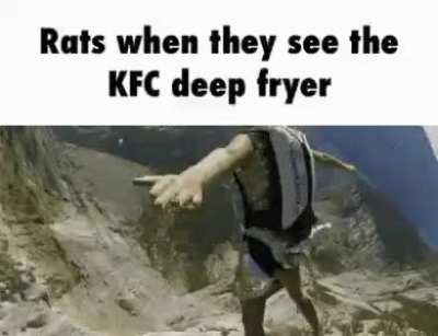 Pollo