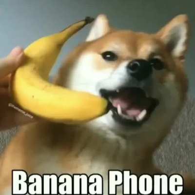 banana phone :D