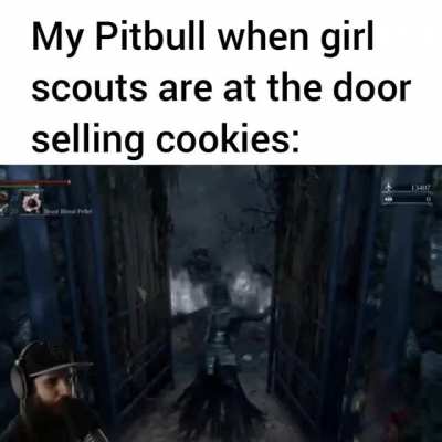 Rule