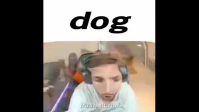Dog xd