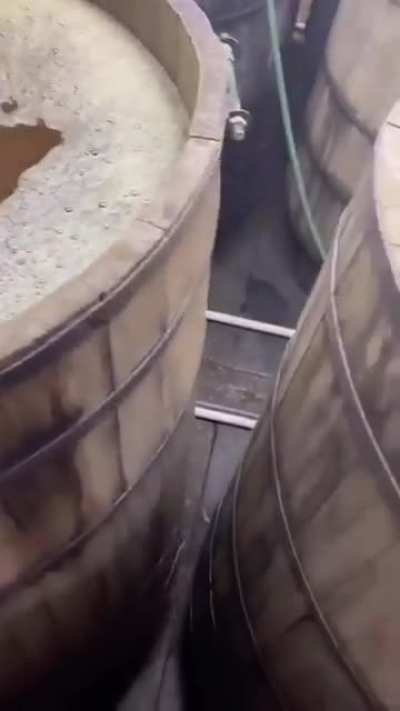 How tequila is made