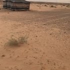 I think its time to run away