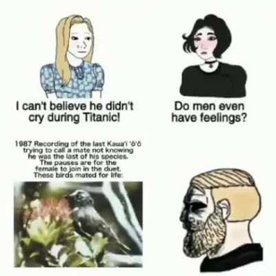 I honestly dont know if it counys as a history meme, but damn....