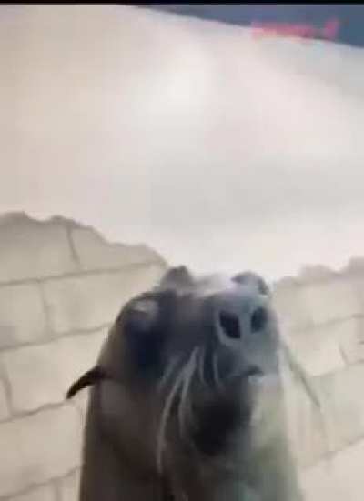 😁