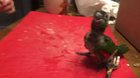Glitching parrot