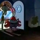 Nooo calamardo