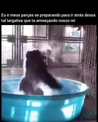 Desculpa pelo tamanho da legenda, foi o máximo que deu pra coloca