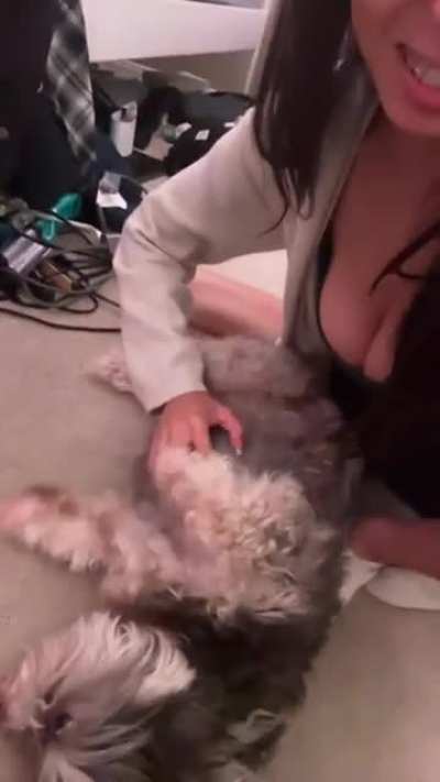 Dog