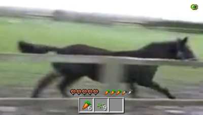 My shower smells like hors