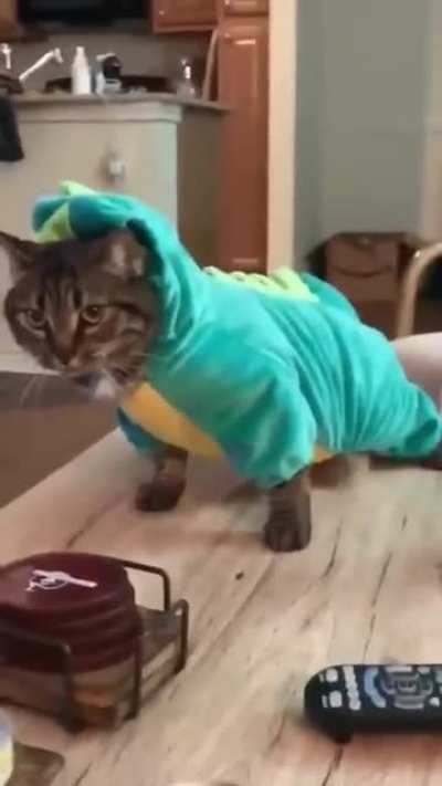 Neko Neko