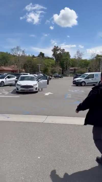 Crazy Lady jacks a car and proceeds to destroy a parking lot