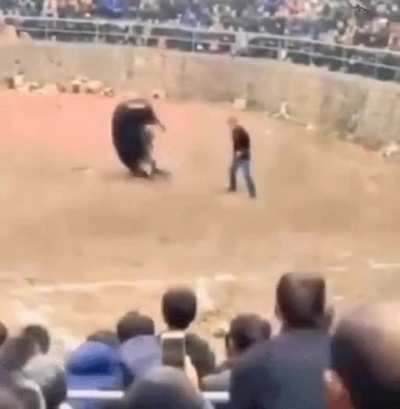 Blursed_Headbutt