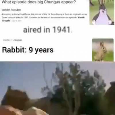 Rule