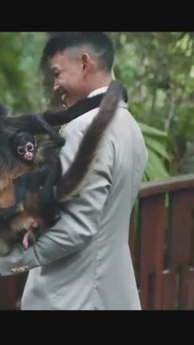 The Wedding Crasher