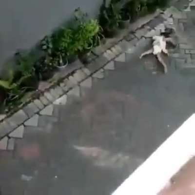 Kidnapping Of Kid