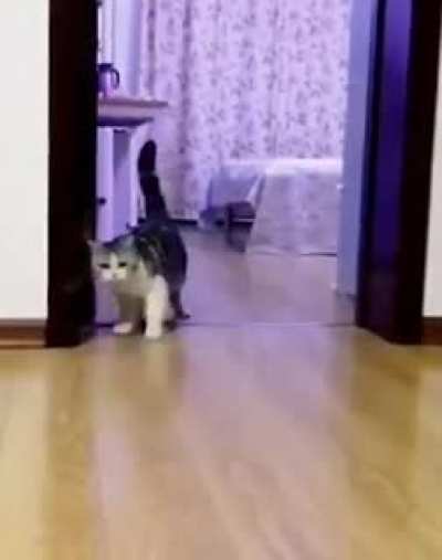 Invisible obstacle
