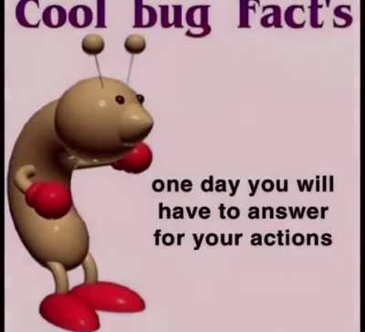 Cool bug fact😎