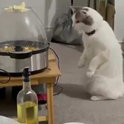 Popcorn
