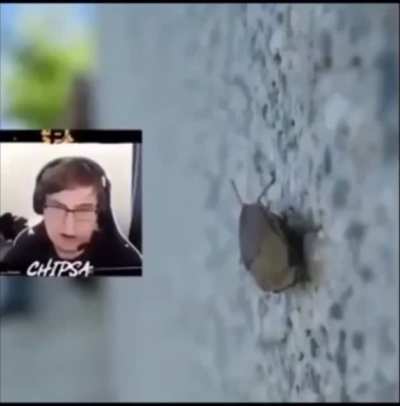 It’s a bug!!!