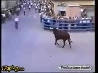 Bull calms down when he recognizes his feeder