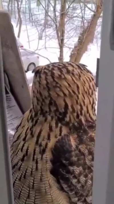 Who is that?!