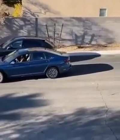 A woman having struggles while trying to park her car.