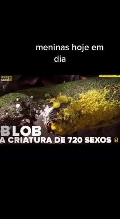 basicamente