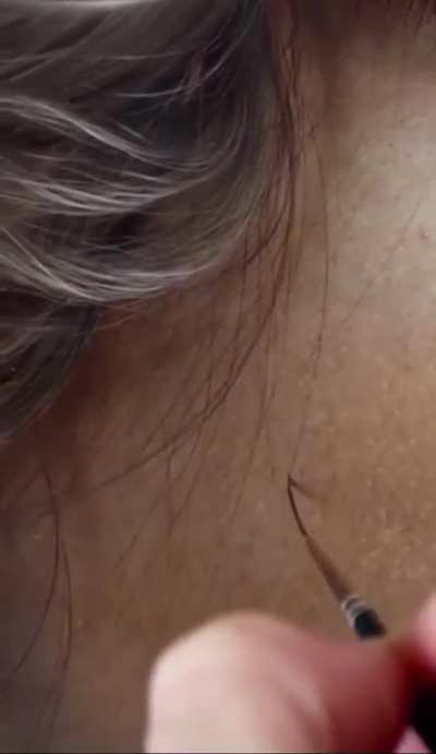 Hyper realistic painting