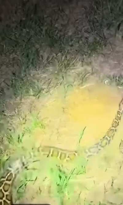 Yoink.