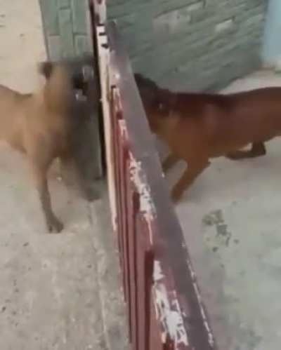 People online vs when they actually meet