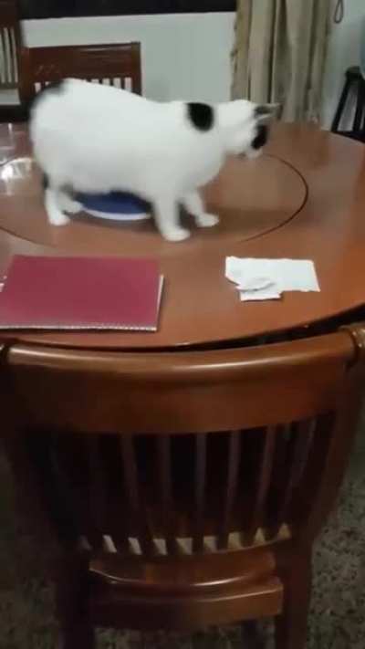 It’s not just hamsters...