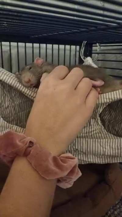 All day snuggles🌼