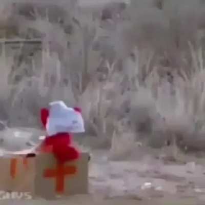 Elmo goes