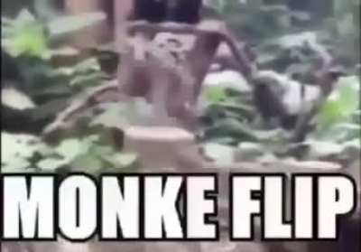 r/Monke'de gördüm ve bunun buraya ait olduğunu düşünüyorum