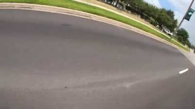 sharing the road