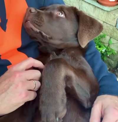 Help me come up with a name for my new friend?