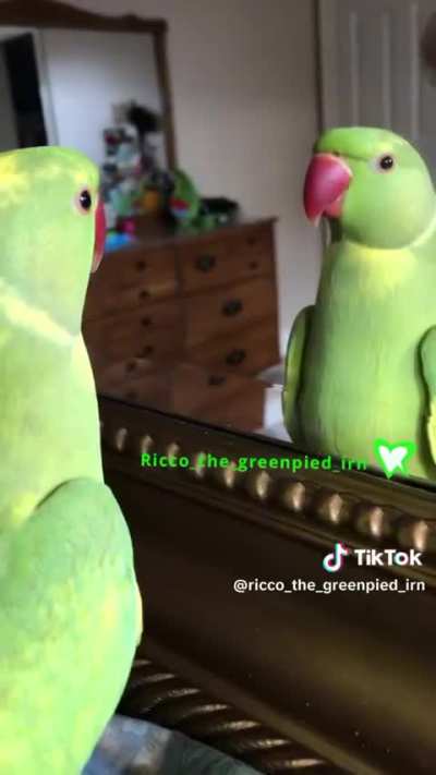 Push to peep