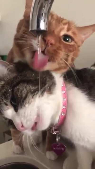 Утро суббо<wbr>ты...