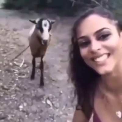 Wait for it..