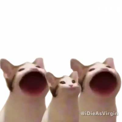 ba ba ba
