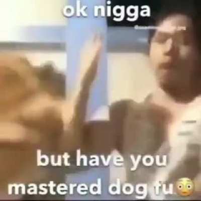 what da dog doin?