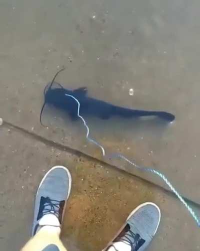 <3
