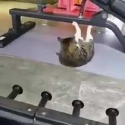wunk exercise