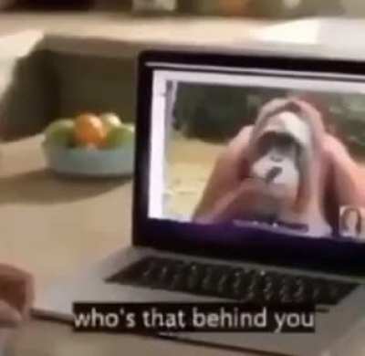 🙉🙈🙉🙈