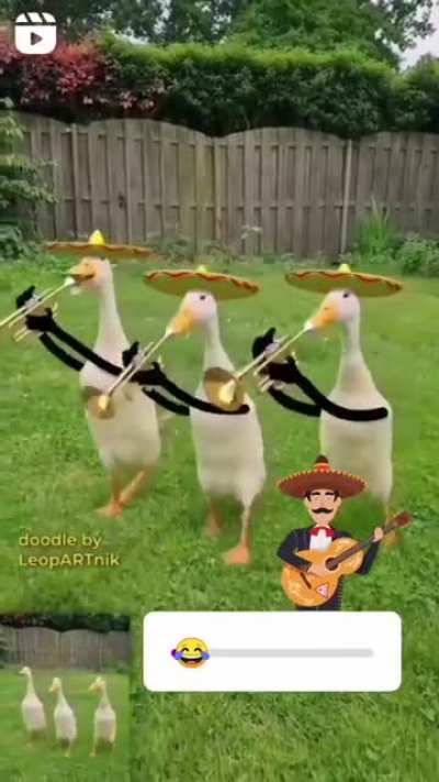 Bom dia