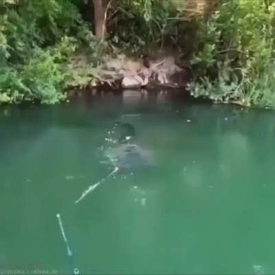 5,400 oz catfish