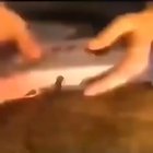 cursed_videoGames